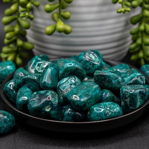 May include: A collection of polished, teal-colored stones displayed in a black bowl. The stones have a glossy finish and varying shapes. Green foliage and a decorative pot are in the background. The image is well-lit, highlighting the stones' textures.