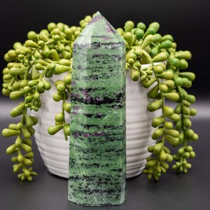 May include: A green and black striped crystal point with a pointed tip. The crystal is sitting on a white ceramic planter with green succulent plants.