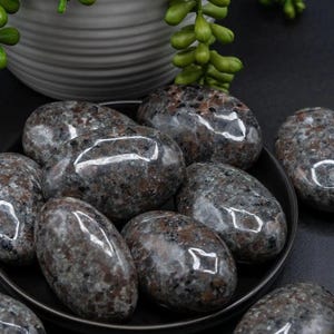 Yooperlite Palm Stone