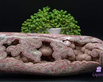 Magnifique rhodochrosite de forme libre d'Argentine