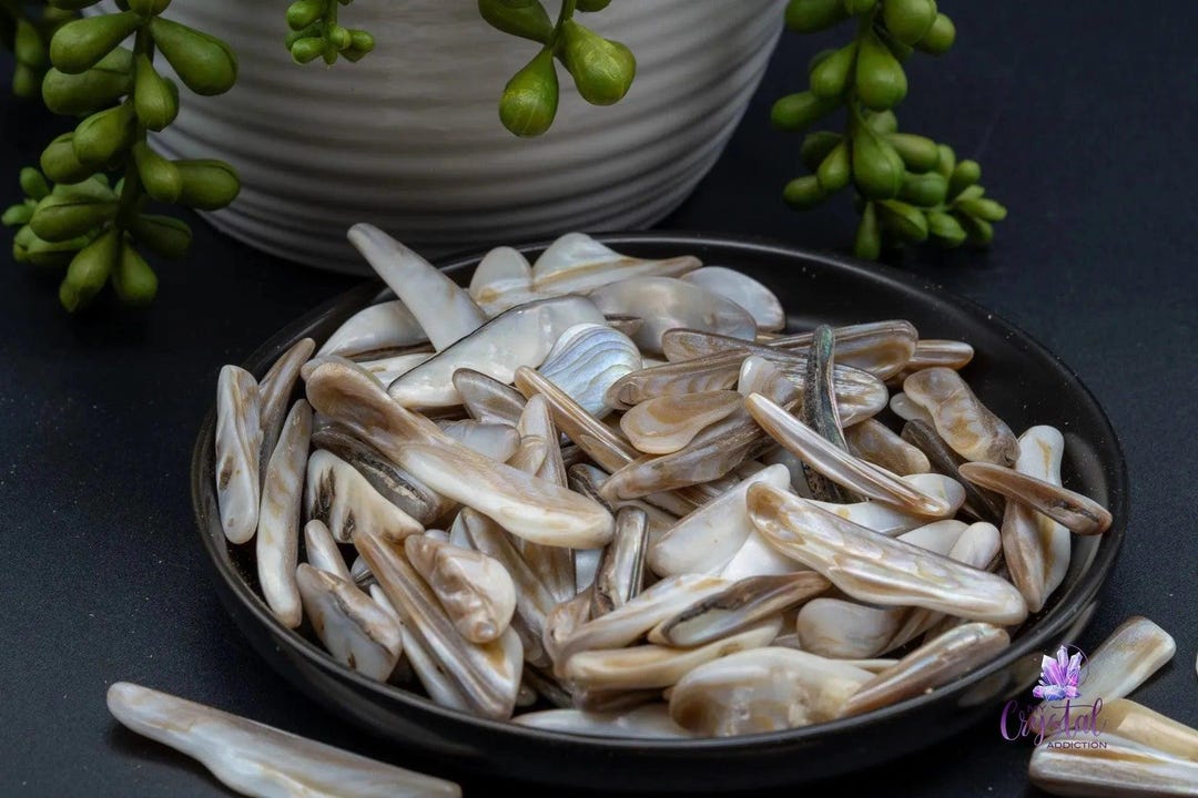 Mother of Pearl Shell - Rims - Etsy