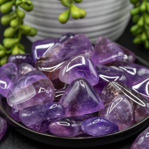 May include: A collection of polished amethyst stones in a dark gray bowl. The stones vary in size and shape, with a deep purple color and translucent quality. Green foliage and a white ceramic pot are in the background.