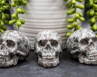 Yooperlite Carving - Skull