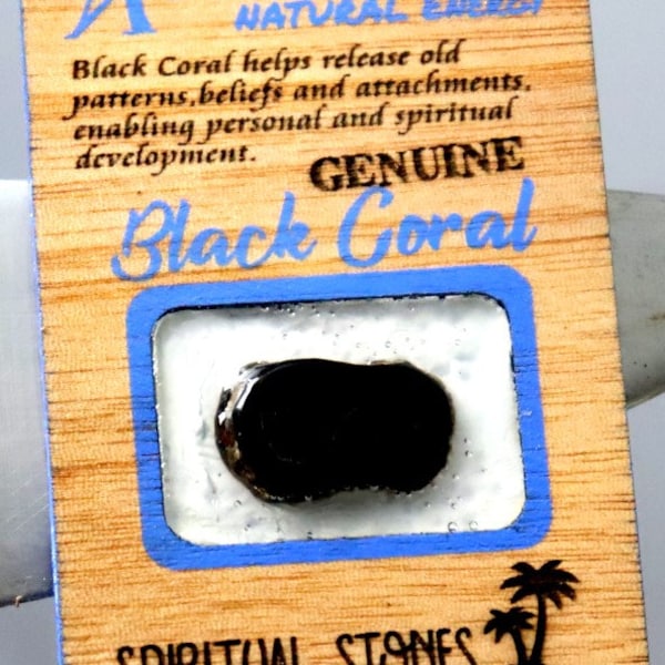 Unique Handmade Mahogany fridge refrigerator magnet with natural genuine Black Coral stone  3x2 inch