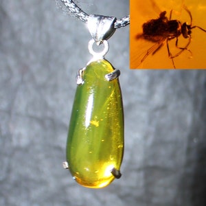 Dominican Natural Clear Green Red Amber 925 Sterling Silver Mermaid Pendant 30mm