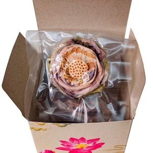 2 boxes of Lotus flower tea| Vietnam Lotus Flower Tea| Decoration | Gift Idea