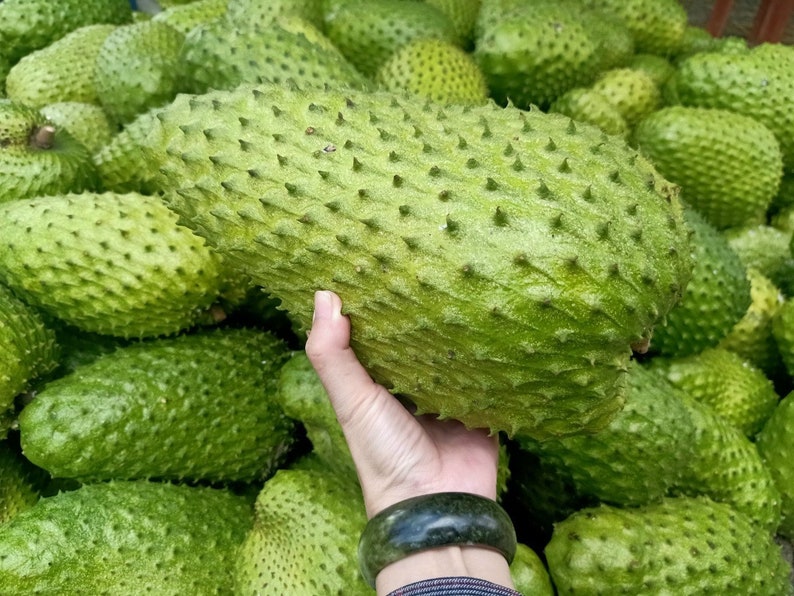 Soursop Graviola Guanabana Dried Fruit Strips 85 Gram Pack Etsy