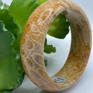 Natural Coral Fossil bangle, Agate bangle, bring wealth &longevity, for small hand, small wrist(inner diameter:51.9MM/2.04”)#6441