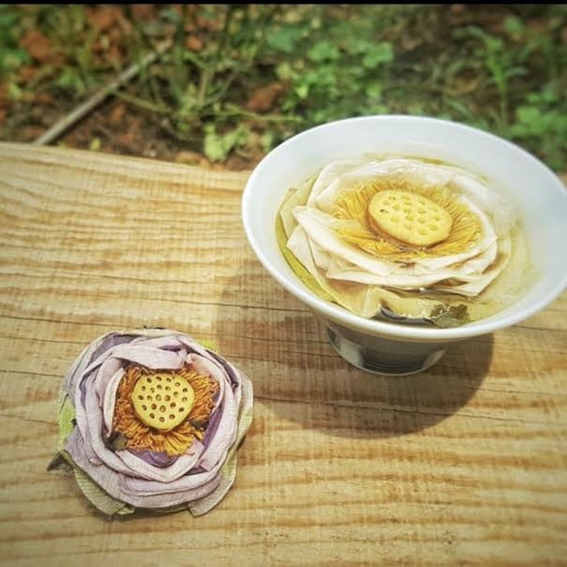 Lotus Flower Herbal Tea 5 Dried Whole Blossoms per Box Etsy