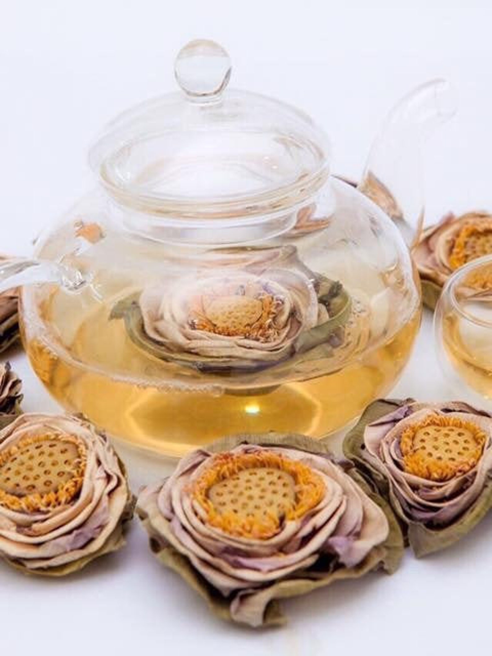 Lotus Flower Herbal Tea 5 Dried Whole Blossoms per Box Etsy