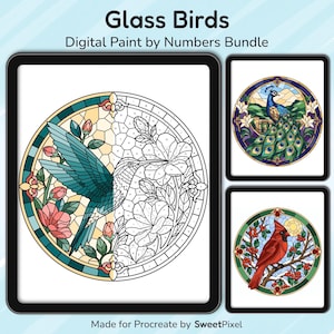 May include: Glass Birds Digital Paint by Numbers Bundle for Procreate by SweetPixel. The image displays three circular stained-glass style illustrations of birds, including a hummingbird, a peacock, and a cardinal, with numbered sections.
