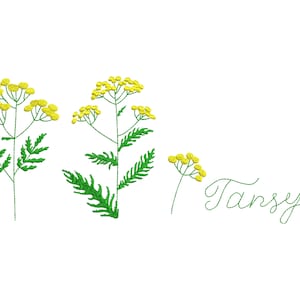 8 sizes &quot;Tansy&quot; Machine Embroidery Design