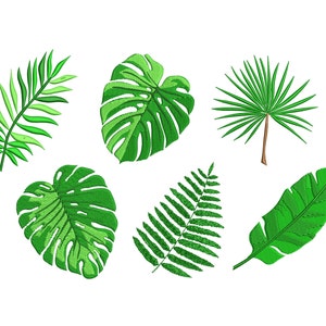 8 Sizes Palm Leaves 6 Individual Designs Machine Embroidery Design image 2