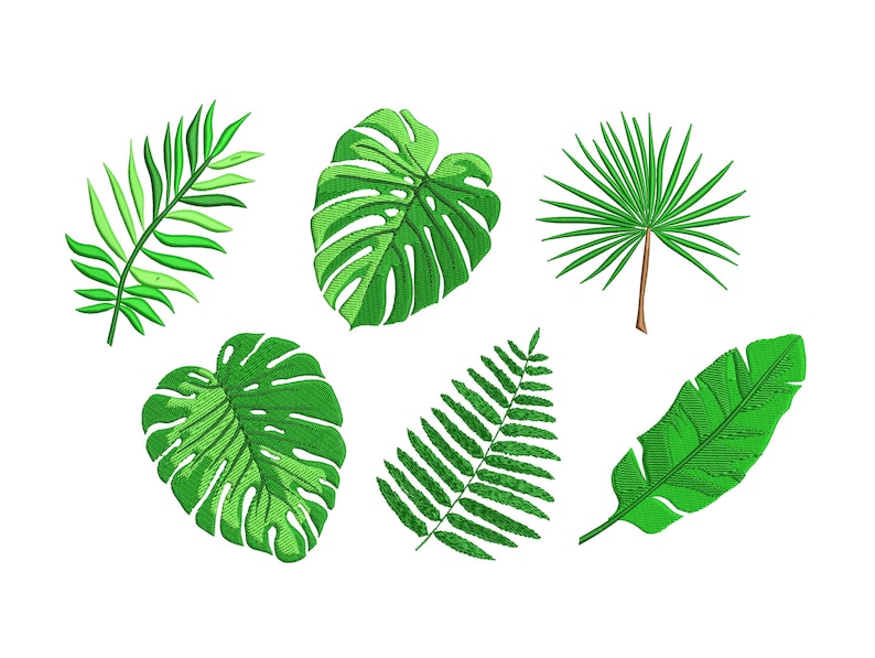 8 Sizes Palm Leaves 6 Individual Designs Machine Embroidery Design image 2