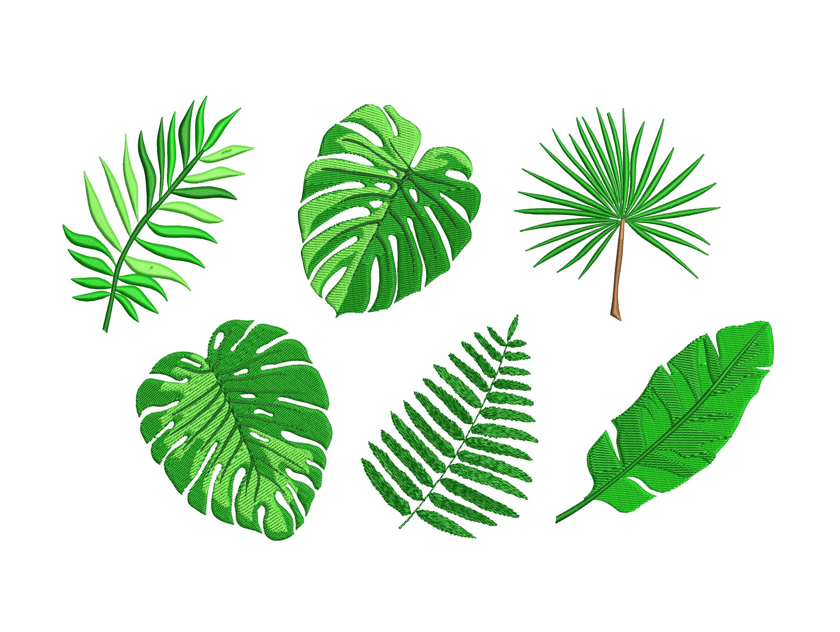 8 Sizes palm Leaves 6 Individual Designs Machine - Etsy