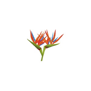 6 Sizes &quot;Bird of Paradise&quot; Machine Embroidery Design