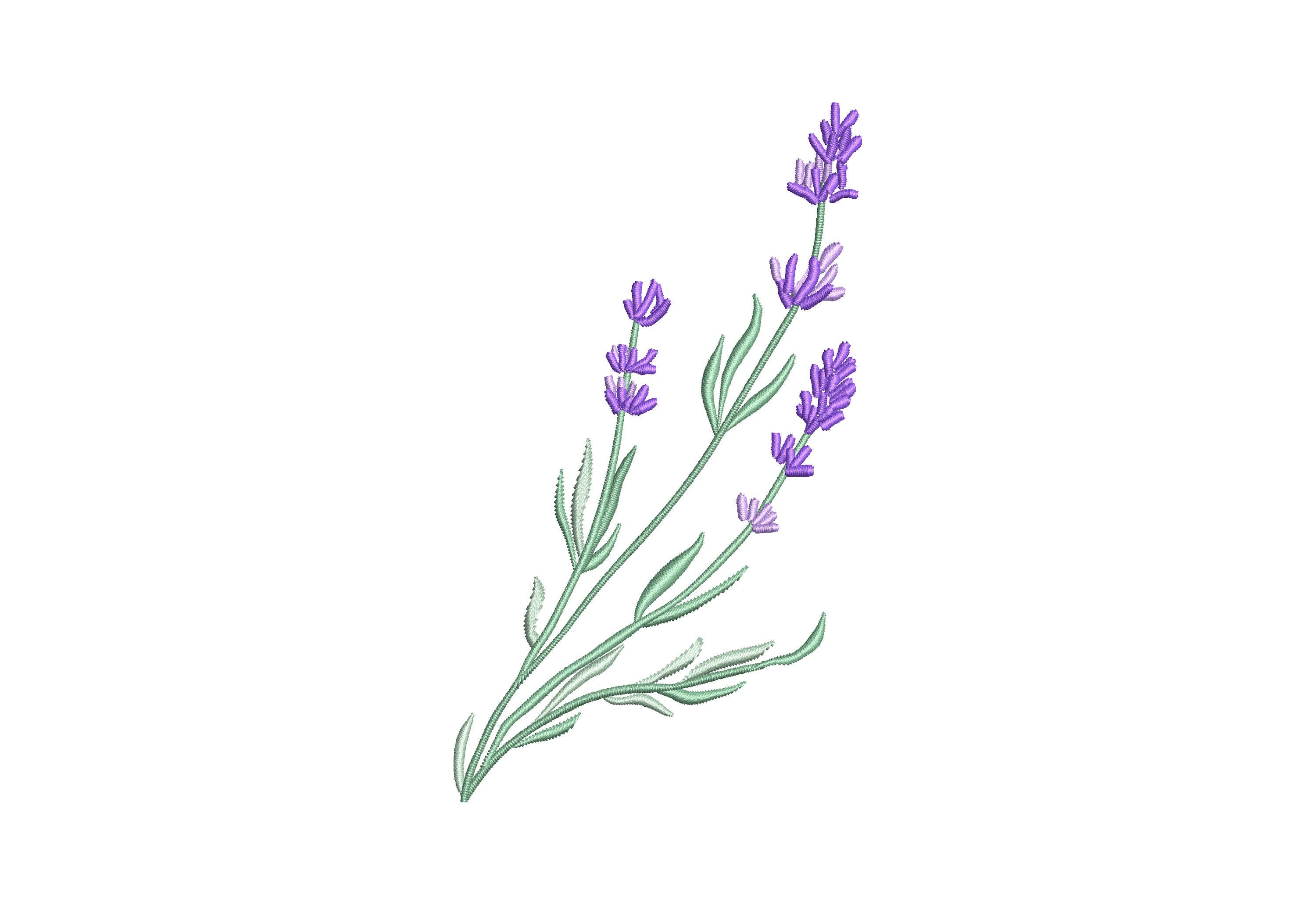 5 Sizes lavender Machine Embroidery Design | Etsy Australia