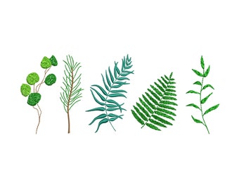5 sizes "Botanical Designs" Machine Embroidery Design