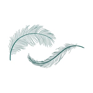 4 Sizes &quot;Feathers&quot; Individual Machine Embroidery Design