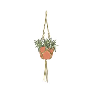May include: A hanging planter with a macrame design and a terracotta pot filled with green plants. The planter has a long tassel.