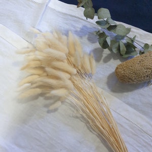 May include: A bunch of dried pampas grass with long, feathery plumes in shades of cream and beige. The stems are thin and natural, and the plumes are soft and fluffy.