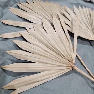 May include: Close-up of several dried palm leaves, pale beige in colour, arranged on a blue-grey fabric. The leaves have a fan-like shape with long, pointed tips and prominent veins. The natural texture and colour suggest a decorative or craft item.