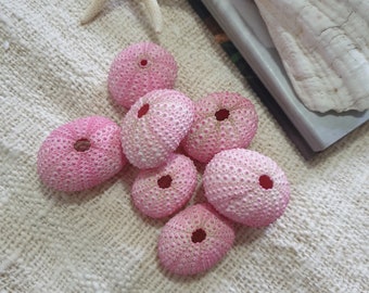 Op de afbeelding: Een groep van zeven roze zee-egel schelpen met een gat in het midden van elk. De schelpen zijn gerangschikt in een cluster op een wit, getextureerd oppervlak.