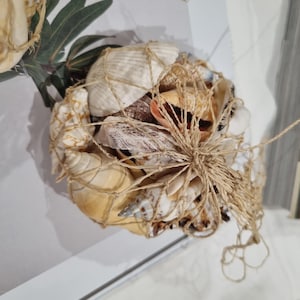 May include: A collection of various seashells in shades of white, beige, and brown, tightly bundled together within a tan-coloured natural fibre netting. The shells include spiral-shaped and bivalve varieties, secured by a knot in the netting.