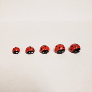 Miniature Ladybugs SET OF 5. Tiny Ladybugs. Fairy Bugs. Fairy Ladybugs, Diorama animals. Fairy Garden Animals, Potted Plant Decoration
