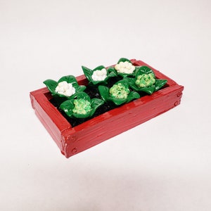May include: A red wooden planter box filled with green leafy plants with white cauliflower heads.