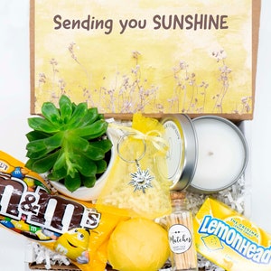 SENDING YOU SUNSHINE. Gift box. Succulent gift. Care Package. Positive VIbes. Healing Vibes. Live Succulent. Succulent and Candle. Bath bomb