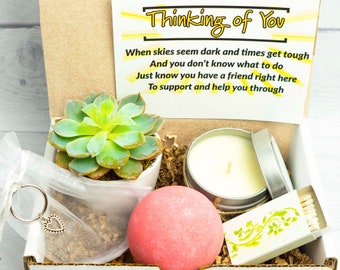 CARE PACKAGE. Thinking of You. Good Vibes. Live Succulent. Succulent Gift Box. Succulent Care Package. Succulent and Candle. Succulent.