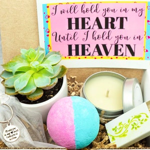 I will HOLD you in MY HEART. Care Package.  Live Succulent. Succulent Gift Box. Succulent Care Package.Succulent Gift. Child Loss. Heaven.