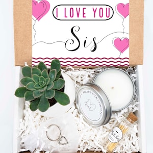 I LOVE YOU Sis. Care Package.  Live Succulent. Succulent Gift Box. Natural Succulent. Succulent and Candle. Sisters. Sister Gift.
