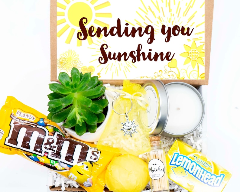 SENDING YOU SUNSHINE. Gift box. Succulent gift. Care Package. Positive VIbes. Healing Vibes. Live Succulent. Succulent and Candle. Bath bomb 
