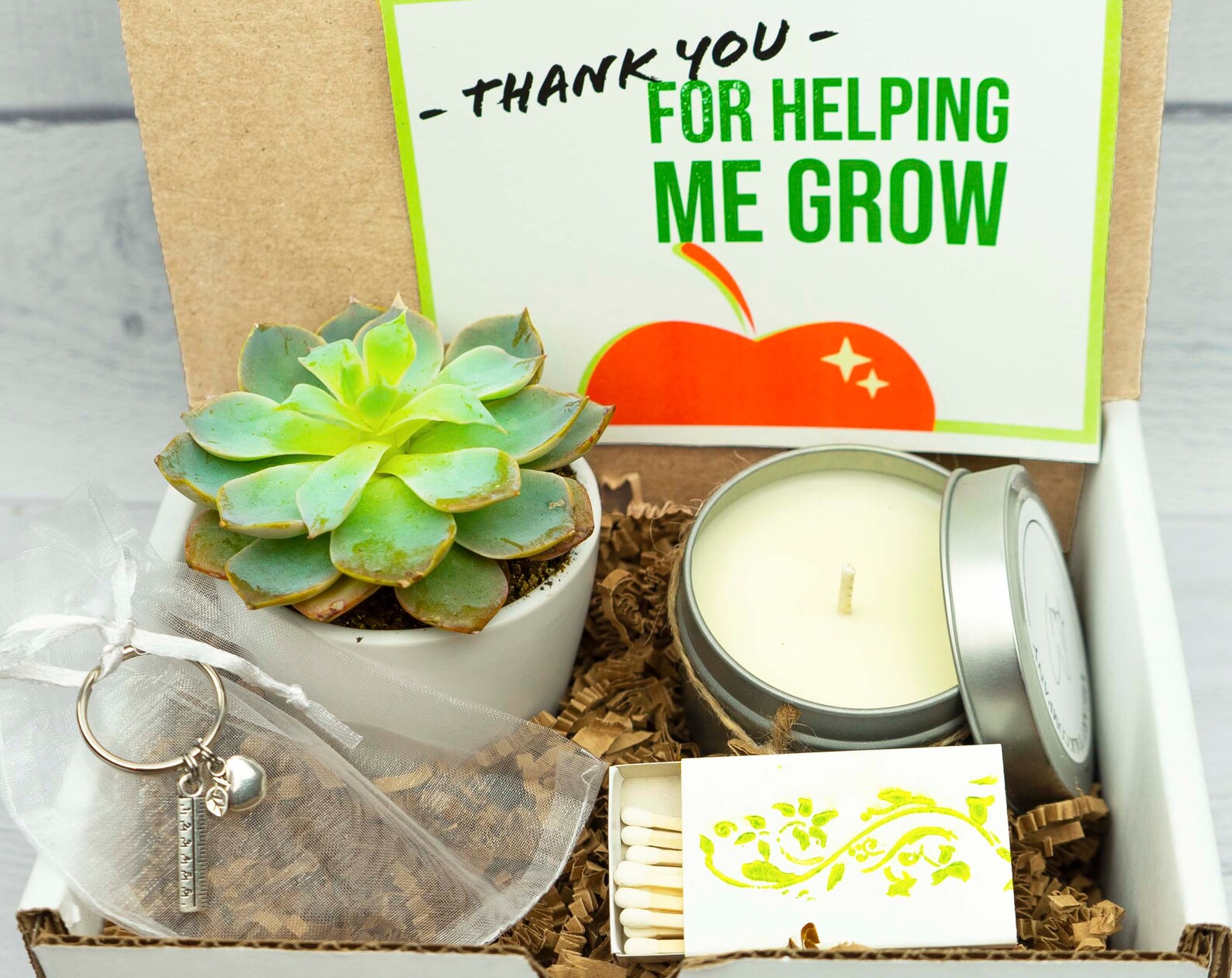 TEACHER APPRECIATION. Gift Box. TEACHER gift. Live Succulent. Etsy