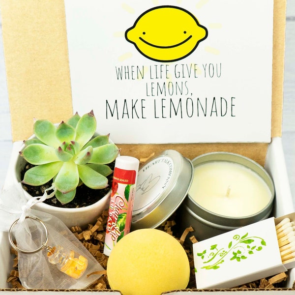 When Life GIVES YOU LEMONS. See The Good.Choose Good. Make Lemonade. Lemon.Care Package.Thinking of You. Live Succulent.Succulent Gift Box.