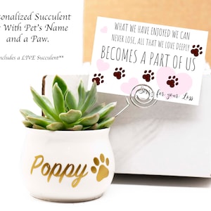 PET LOSS BOX.  Personalized Pet Gift. Succulent Gift Box.Live Succulent. Pet Loss. Sorry For Your Loss.Pet Gift. Pet Paw. Dog Loss.Cat Loss.