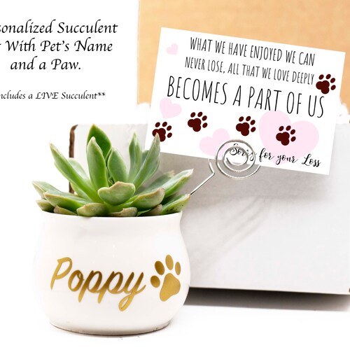 PET LOSS BOX.  Personalized Pet Gift. Succulent Gift Box.Live Succulent. Pet Loss. Sorry For Your Loss.Pet Gift. Pet Paw. Dog Loss.Cat Loss.