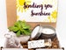 CARE PACKAGE. Sending you SUNSHINE. Live Succulent. Succulent Gift Box. Succulent and Candle. Healing Vibes. Positive Vibes. Succulent.