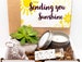 CARE PACKAGE. Sending you SUNSHINE. Live Succulent. Succulent Gift Box. Succulent and Candle. Healing Vibes. Positive Vibes. Succulent. 