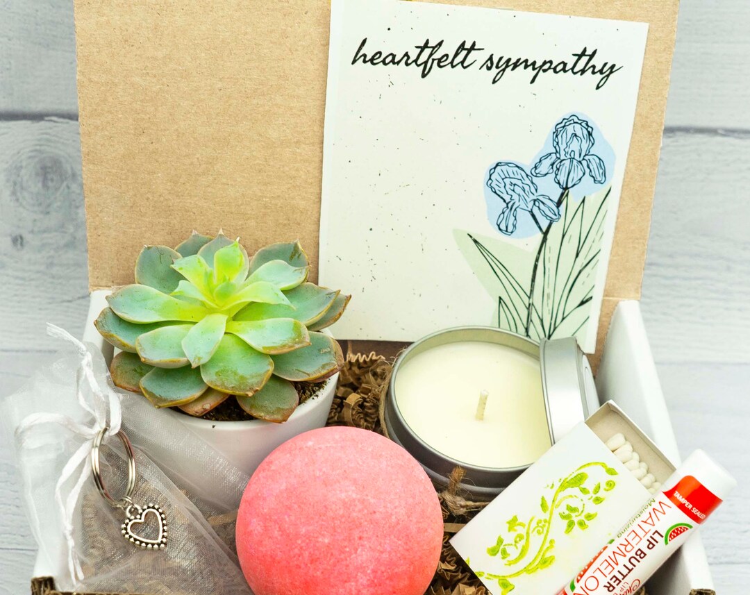 CARE PACKAGE. Gift Box. Sympathy Gift. Live Succulent. Succulent Gift