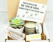 PET SYMPATHY Gift. Live Succulent gift. Succulent gift. Pet loss gift. Best Friends are Never Forgotten EVER. Pet Memorial.Dog sympathy gift