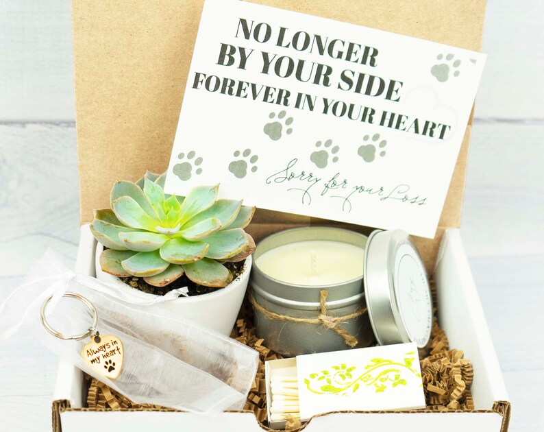 Pet Sympathy Gifts Near Me / Dog Memorial Frame Cat