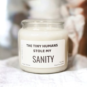 The Tiny Humans Stole My Sanity, Funny Candles For Mom, Funny Soy Candles, Gift For Wife, Motherhood, Mom Birthday Gift, Scented Candles image 1