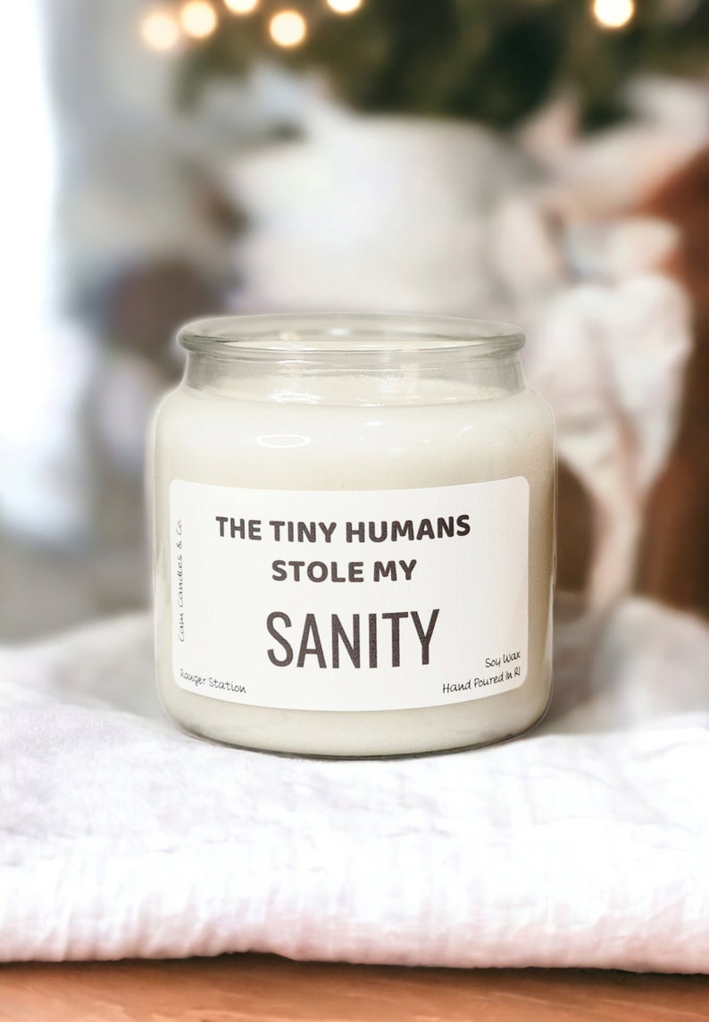 The Tiny Humans Stole My Sanity, Funny Candles For Mom, Funny Soy Candles, Gift For Wife, Motherhood, Mom Birthday Gift, Scented Candles image 1