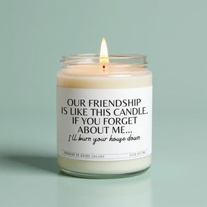 Funny candle, funny candles, funny gift, best friend gift, friendship candle, gifts for her, gifts for him, soy candle