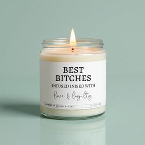 Best Bitches Friendship Gift Candles Funny Candles Gift for Her Best Friend Ever Best Friend Gifts Girlfriend Gift Hand Poured Candles