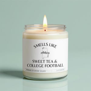 Alabama Candle Gift: Funny State Scented Soy Candle