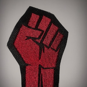 Revolutionary Fist